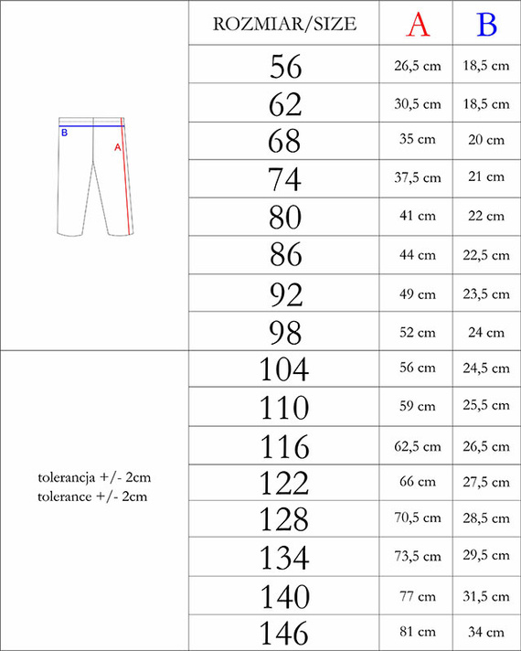 208201 Lizy Legginsy Nicol
