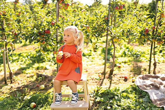 Tunika dresowa Adventure Ewa Klucze- rudy