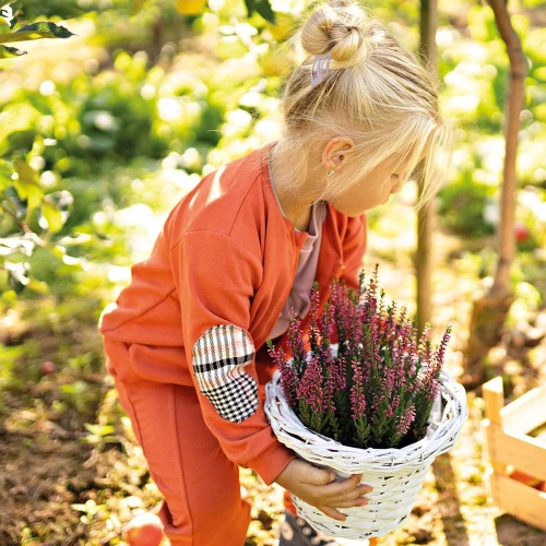 Bluza dresowa Bomberka Adventure Ewa Klucze- rudy