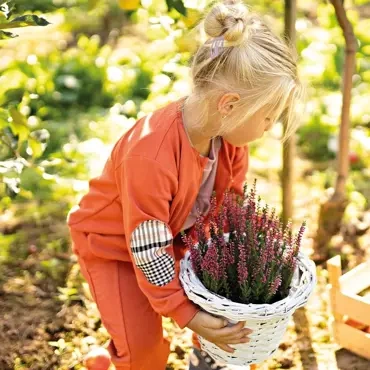 Bluza dresowa Bomberka Adventure Ewa Klucze- rudy