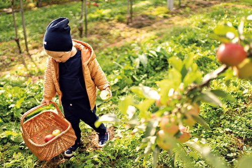 Kurtka "SIMPLY COMFY" z kapturem pikowana Ewa Klucze - miodowy