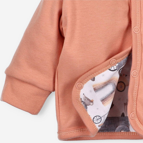 Bluza dresowa z bawełny organicznej Cute Cars Nini pomarańczowy