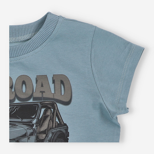 T-shirt dla chłopca KAR-2009/NIE Lagarto Verde niebieski 