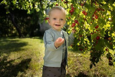 Bluza zapinana na zamek "Little Car" Pinokio - mięta