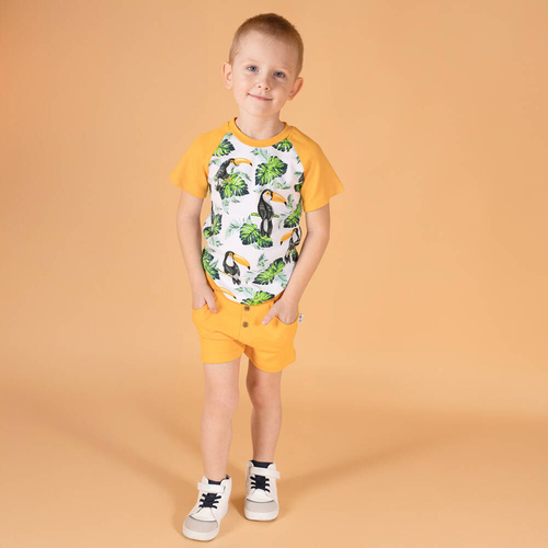 186187 Tukan Spodenki krótkie Nicol