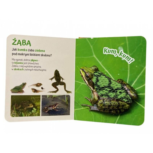 Książka sensoryczna "Pogłaszcz zwierzęta świata" Amw Wydawnictwo 