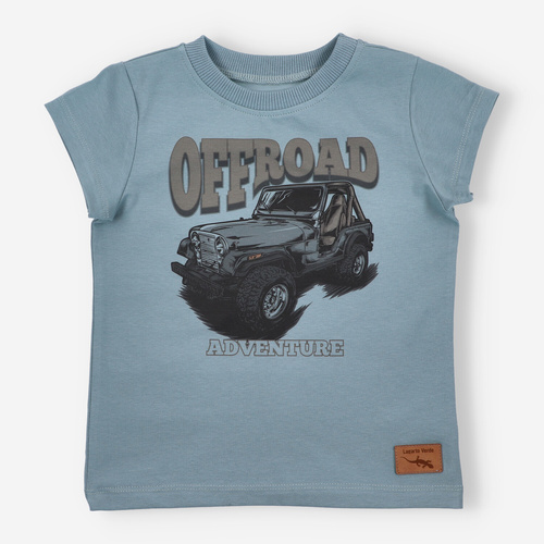 T-shirt dla chłopca KAR-2009/NIE Lagarto Verde niebieski