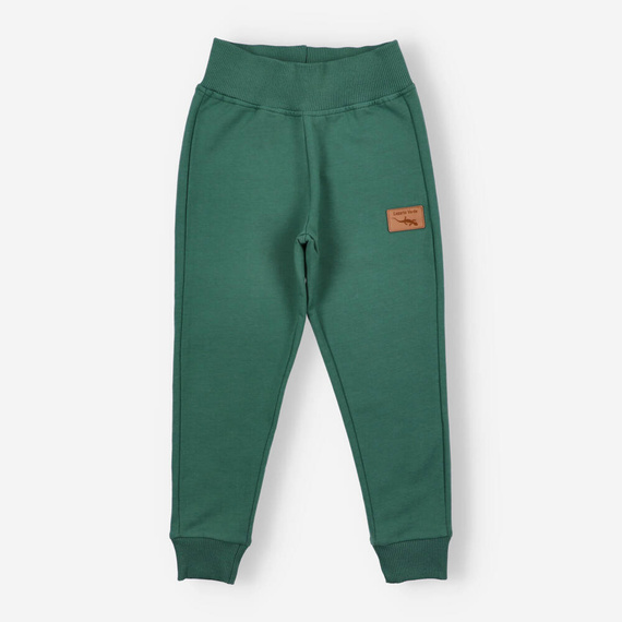 Lagarto Verde Spodnie dresowe dla chłopca- zielony