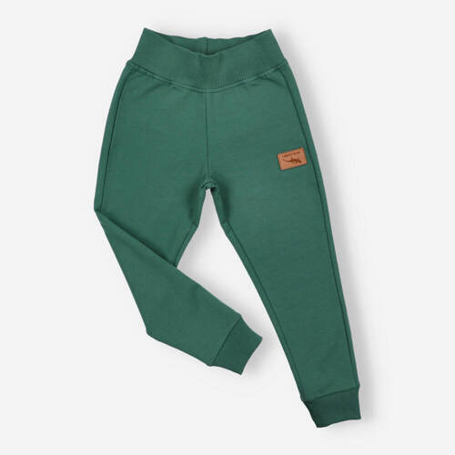 Lagarto Verde Spodnie dresowe dla chłopca-  zielony