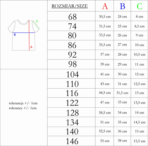 215139 Eddy Bluzka z krótkim rękawem Nicol
