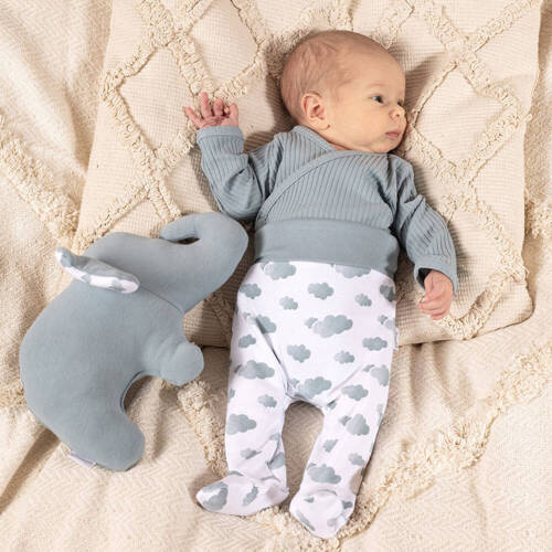 Półśpioch niemowlęcy 205009 Liam Nicol