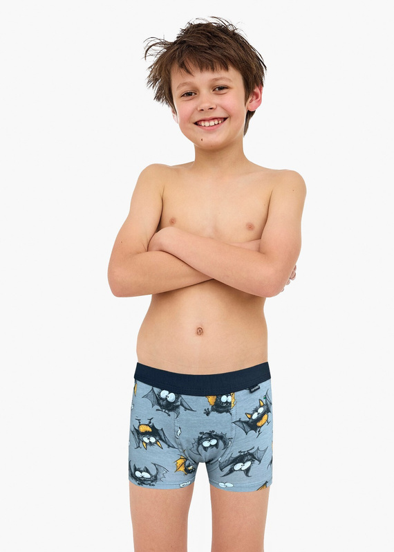 Bokserki bawełniane chłopięce 700/154, 701/154, wygodne i trwałe