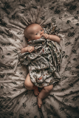 Pieluszki bambusowe Ornithology Makaszka