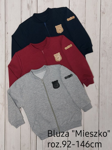 Bluza chłopięca Mieszko Bambarillo szary