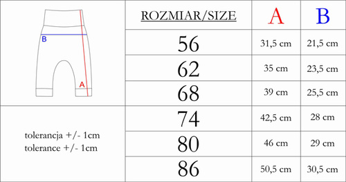 215016 Spodnie niemowlęce Eddy Nicol