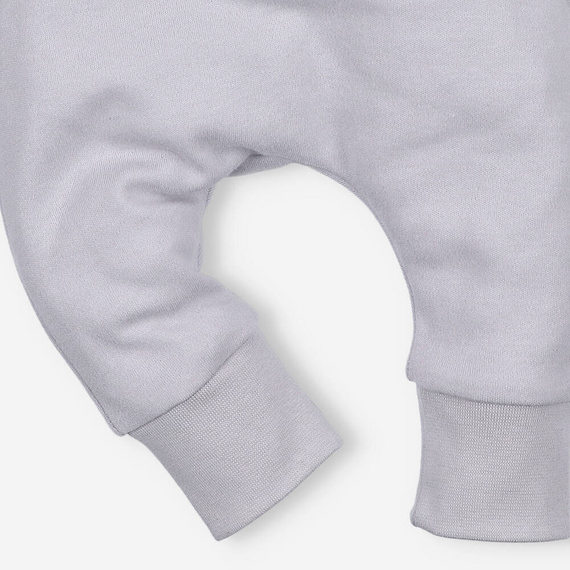 Spodnie dresowe z bawełny organicznej Łąka Nini szary