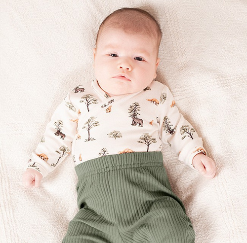 Body Nicol Yogi Bear 218094 – bawełniane, długi rękaw, zwierzątka