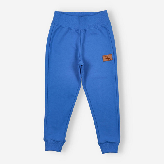 Lagarto Verde Spodnie dresowe dla chłopca- chabrowy