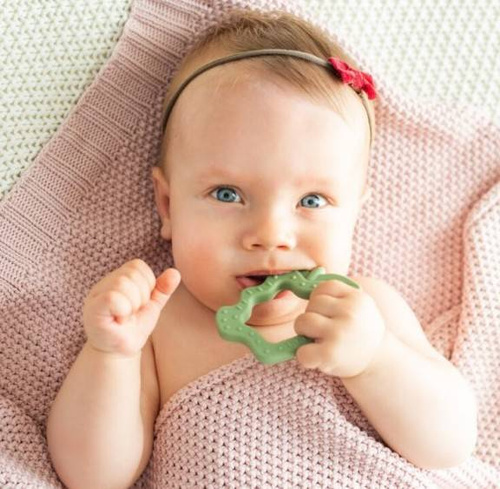 Jabłko gryzak DUMGG45445 Dumel szary 