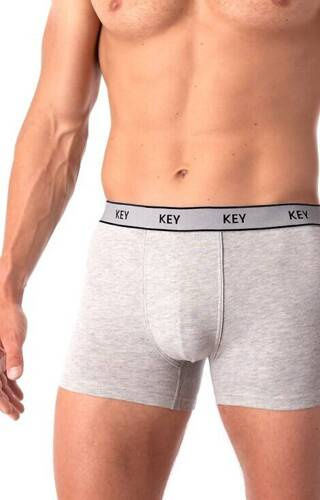 Bokserki męskie MXH 222 Key - szary