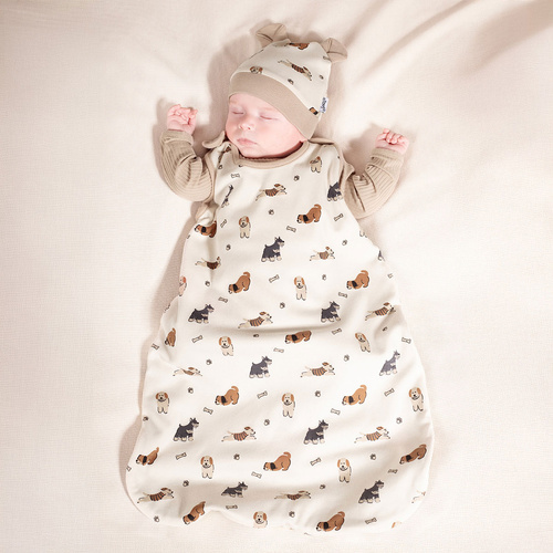 Śpiworek do spania 215043 Eddy Nicol 