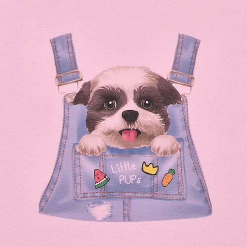 T-shirt dziewczęcy z krótkim rękawem KAR-4004/ROZ Lagarto Verde różowy 