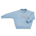 bluza