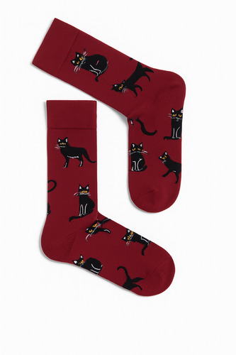 0125-034 Koty Skarpety Męskie Milena - Bordowy