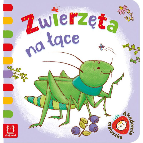 Książeczka "Zwierzęta na łące" Aksjomat 