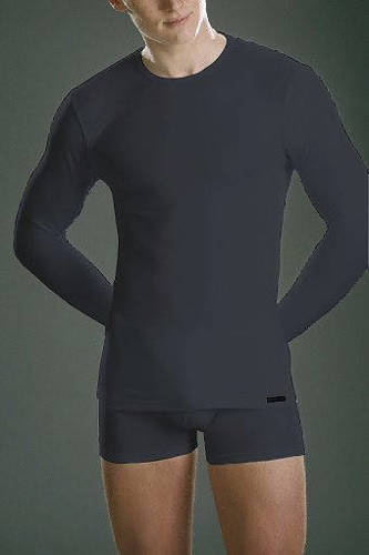 Koszulka męska authentic 214 grafit