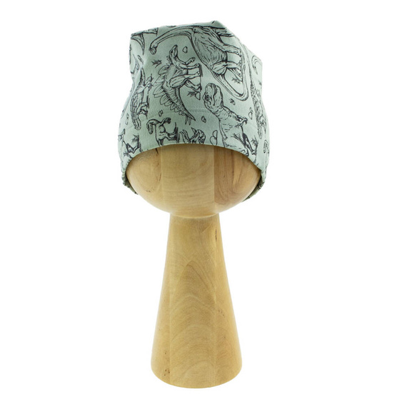 Czapeczka 200050 Tirex Nicol