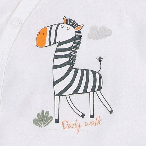Body kopertowe z bawełny organicznej Zebra Nini ecru