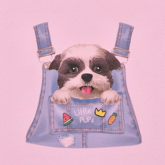 T-shirt dziewczęcy z krótkim rękawem KAR-4004/ROZ Lagarto Verde różowy