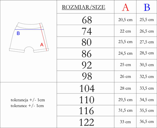 Spodenki krótkie 215187 Eddy Nicol