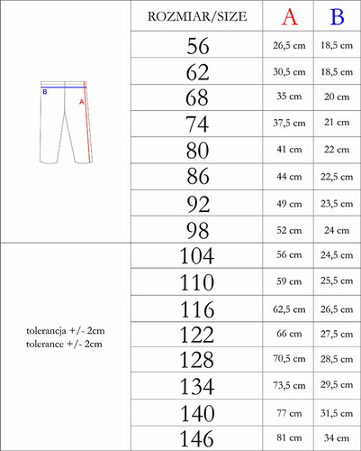 208201 Lizy Legginsy Nicol