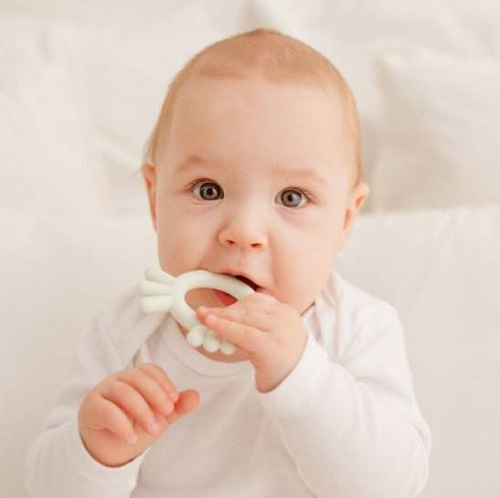 Kurczak gryzak DUMGG50204 Dumel miętowy 