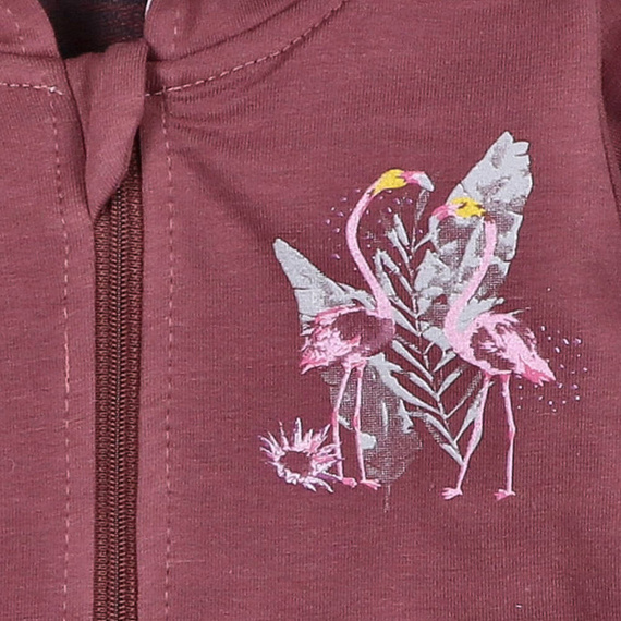 Bluza dresowa Flamings Nini bordowy
