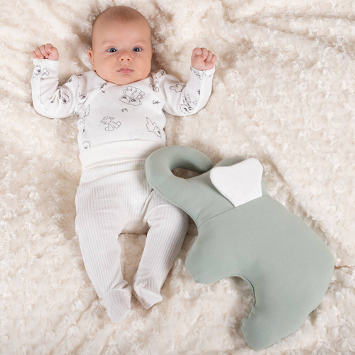 Półśpioch niemowlęcy 202010 Olaf Nicol