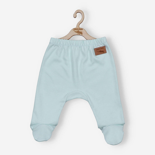 Lagarto Verde Półśpiochy gładki - niebieski