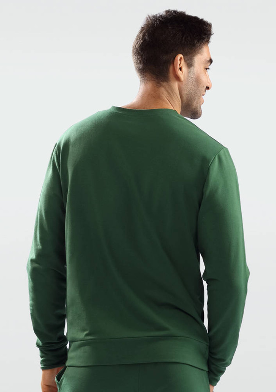 Bluza męska Justin Dkaren - zielony