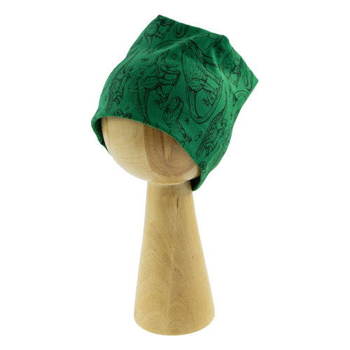 Czapeczka 200070 Tirex Nicol