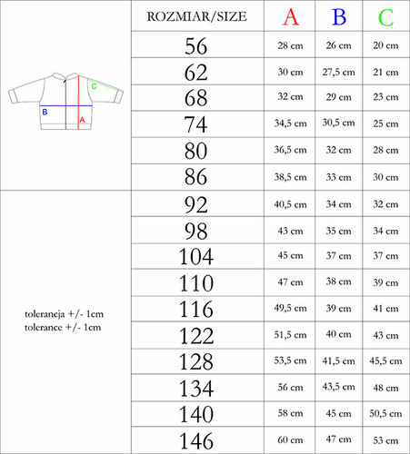 Bluza dresowa 210276 Teddy Nicol 