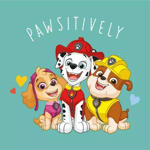 Ręcznik magiczny Psi Patrol Carbotex miętowy