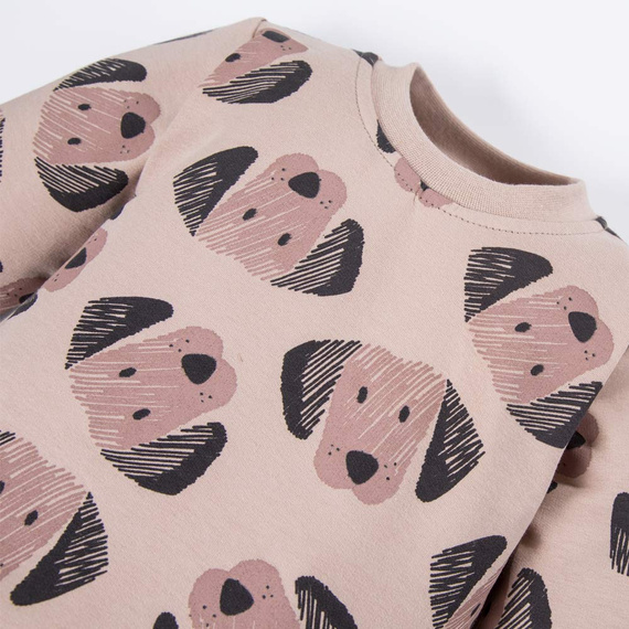 Bluza dresowa dla chłopca Puppy Playtime Eevi - beżowa