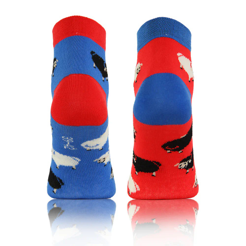 Baranki Owieczki Skarpety krótkie finest cotton dwie różne Sesto Senso niebieski