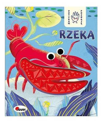 Książka sensoryczna "Dotykam, poznaję - rzeka" Awm Wydawnictwo