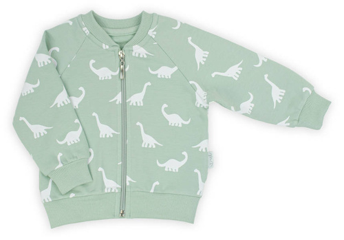 Bluza dresowa 195273 Iwo Nicol