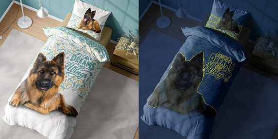 Pościel bawełniana świecąca w ciemności owczarek niemiecki 4023 A Fluo 133 Detexpol