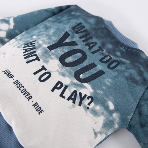 Bluza dresowa Jump Eevi- szary/niebieski