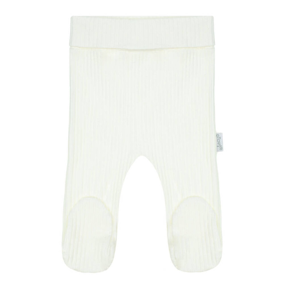 Półśpioch niemowlęcy 202010 Olaf Nicol